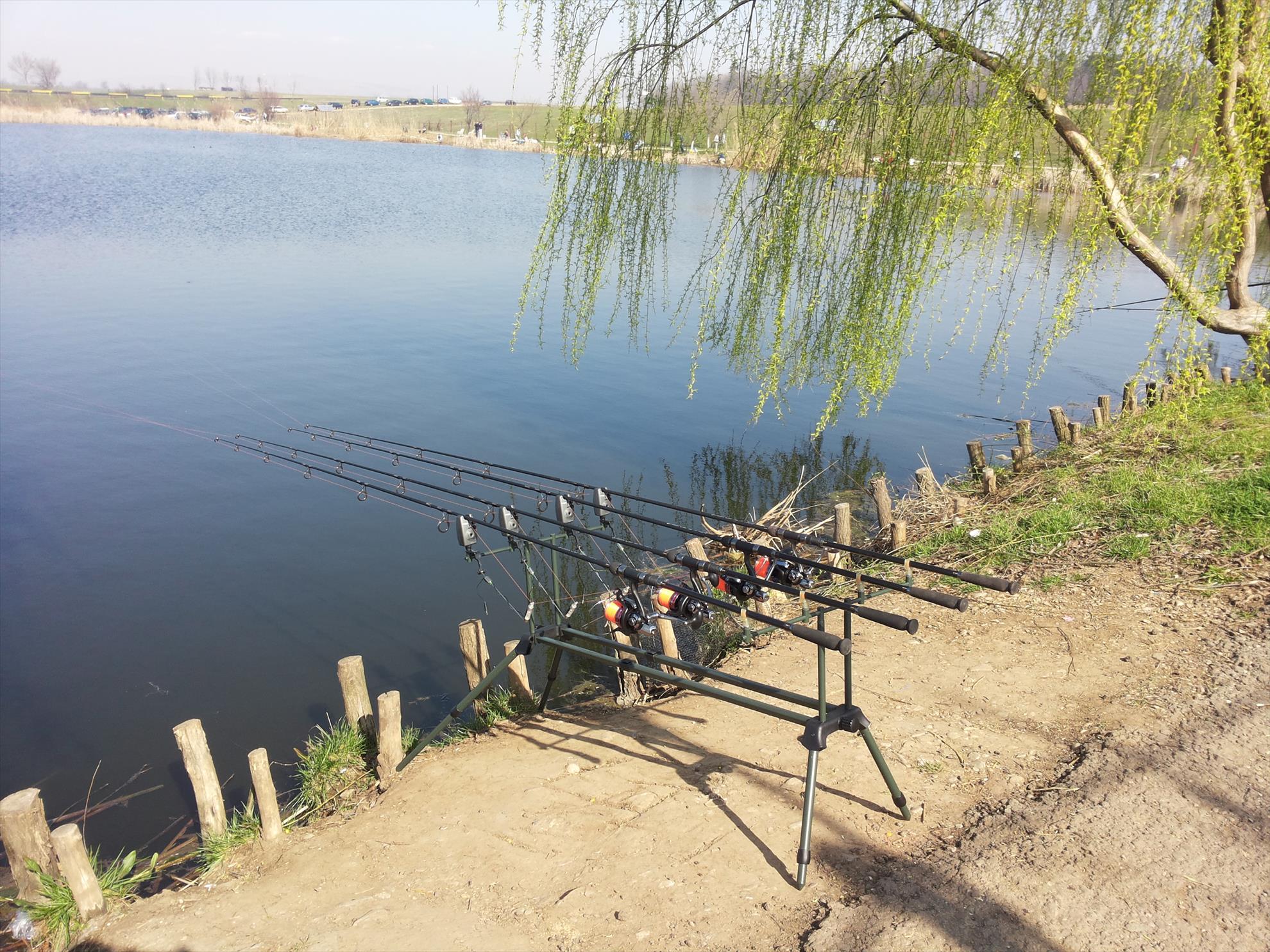 Paulesti 23-03-14 - 20140323101903.jpg